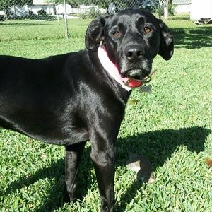 Meet your Posher, Kerry